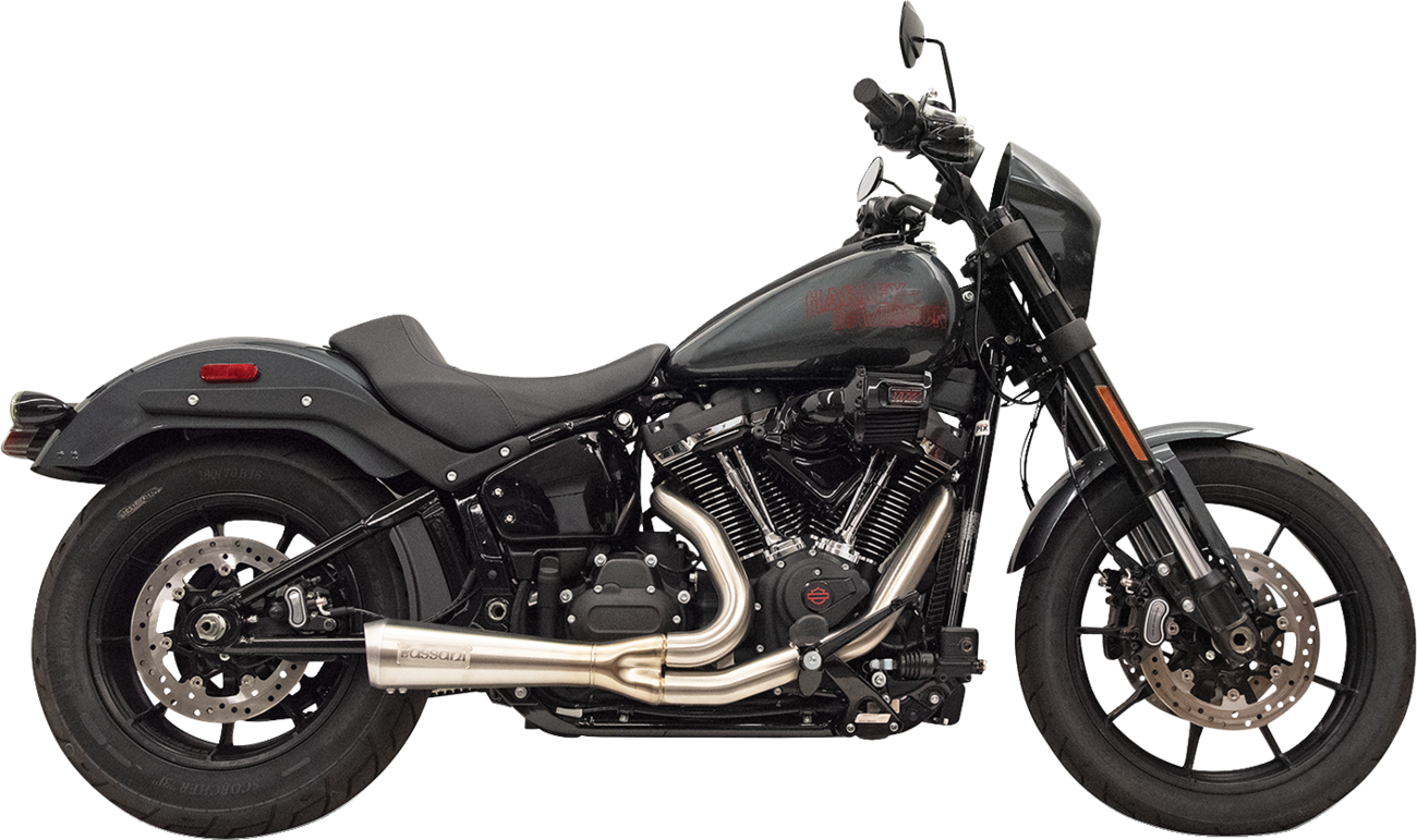 2-into-1 Ripper Exhaust System with Megaphone Muffler - Short - Chrome - M8 Softail