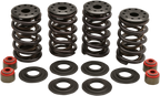 KIBBLEWHITE Racing Valve Spring Kit - Valve Spring Kit / 0.600" Lift / Shovelhead 'L79-'84 0926-2930