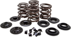 KIBBLEWHITE Racing Valve Spring Kit - Valve Spring Kit / 0.600" Lift / Shovelhead '66-'E79 0926-2926