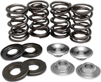 KIBBLEWHITE Valve Spring Kit - 0.367" Lift / Lightweight / BMW 0926-2845