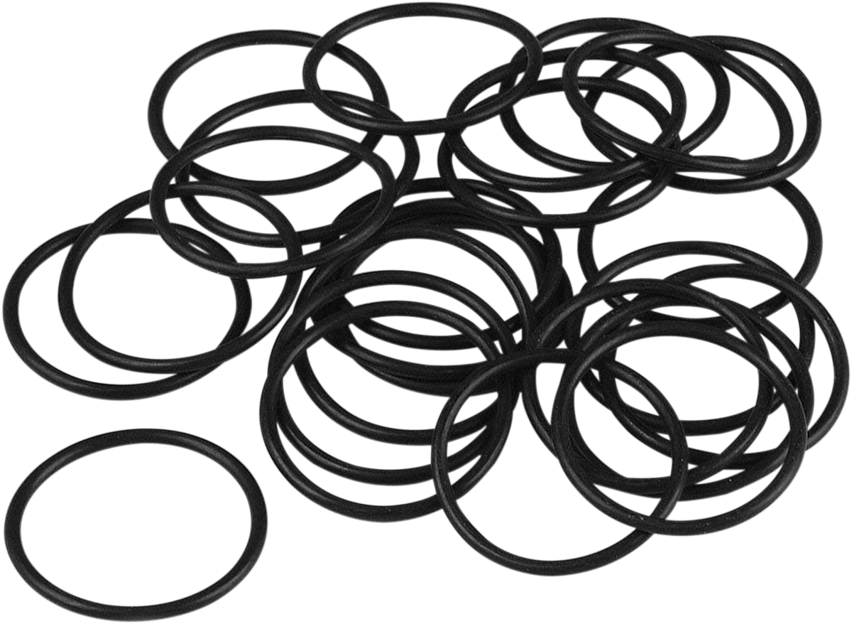 JAMES GASKET Primary Filler Cap O-Ring - Primary Filler Plug O-Ring / XL DS-174364