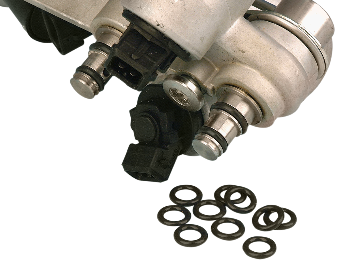 JAMES GASKET Fuel Fitting O-Ring - FL DS-173482