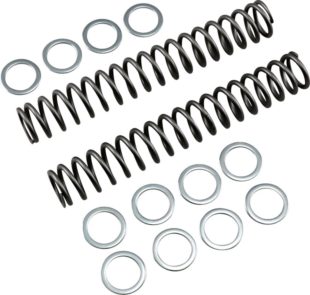 RACE TECH Fork Springs — 53.20 lb/in