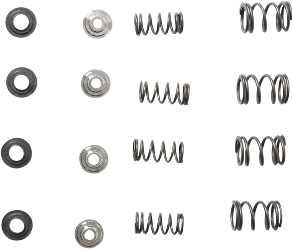 KIBBLEWHITE Valve Spring Kit