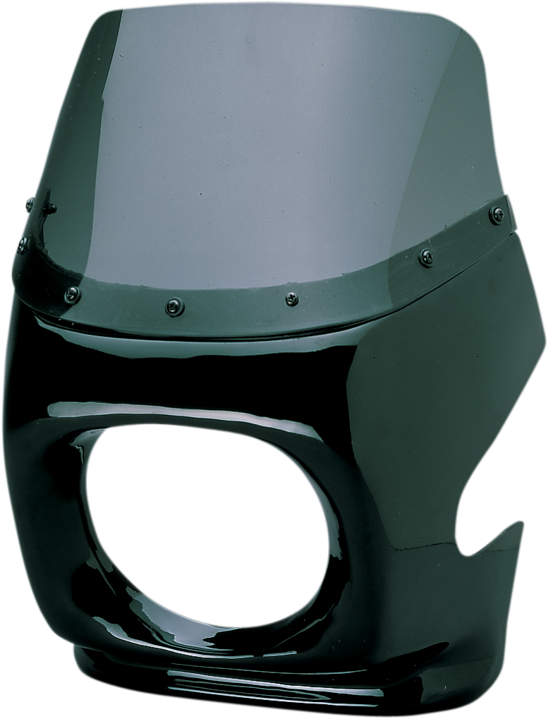 MAIER GP Universal Sport Fairing with Windshield