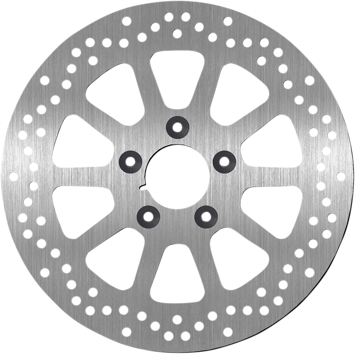 SBS Brake Rotor