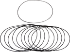 JAMES GASKET Chain Housing Cover O-Ring - Alternator Cover O-Ring / Big Twin DS-174316