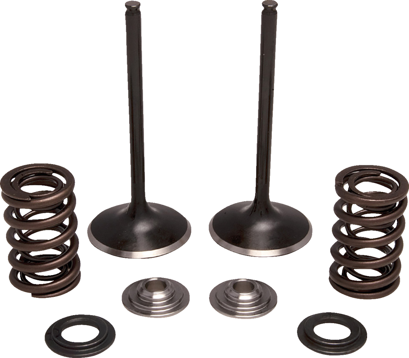 MOOSE OFFROAD Valve and Spring Kit