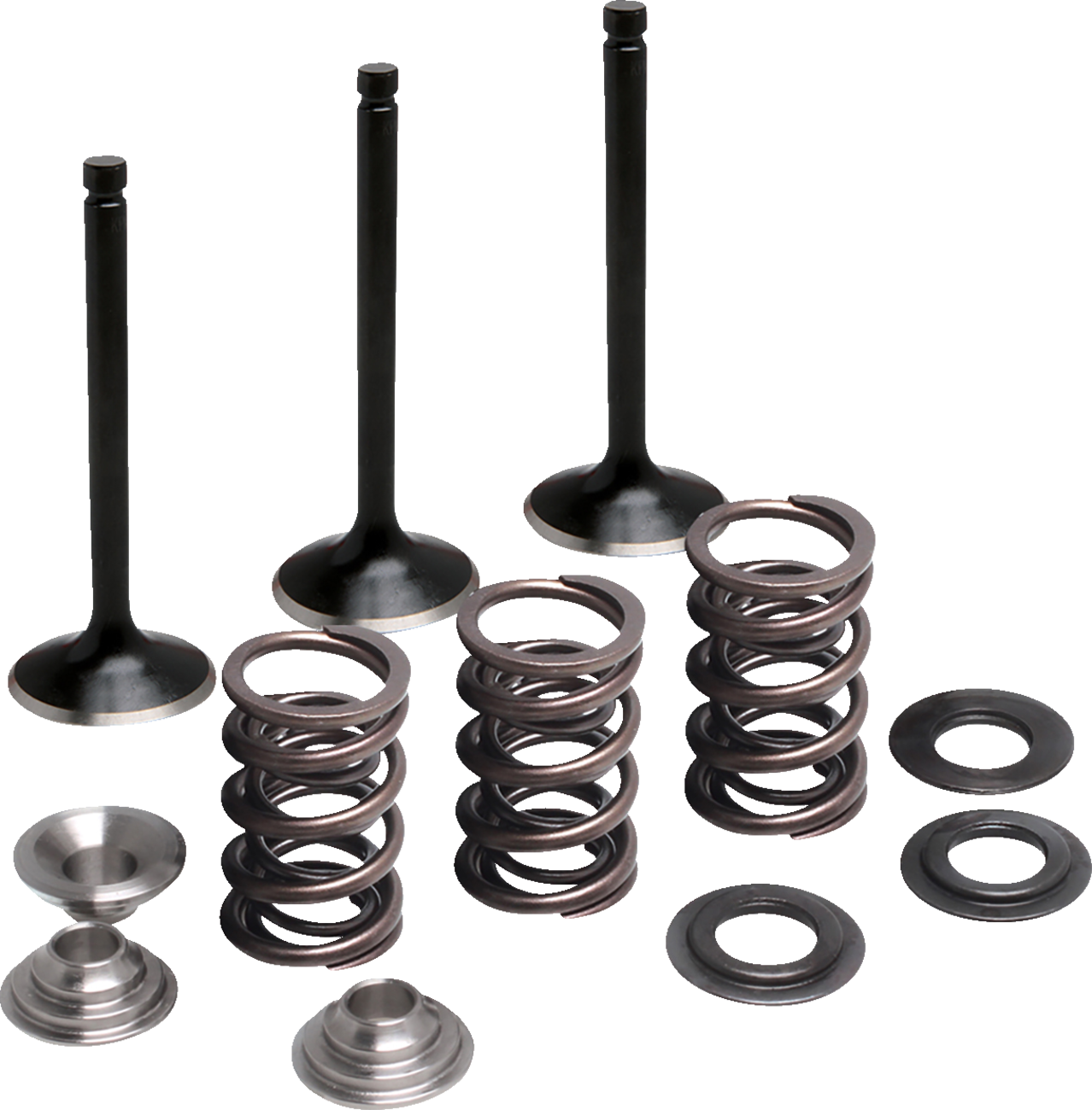 MOOSE OFFROAD Valve and Spring Kit