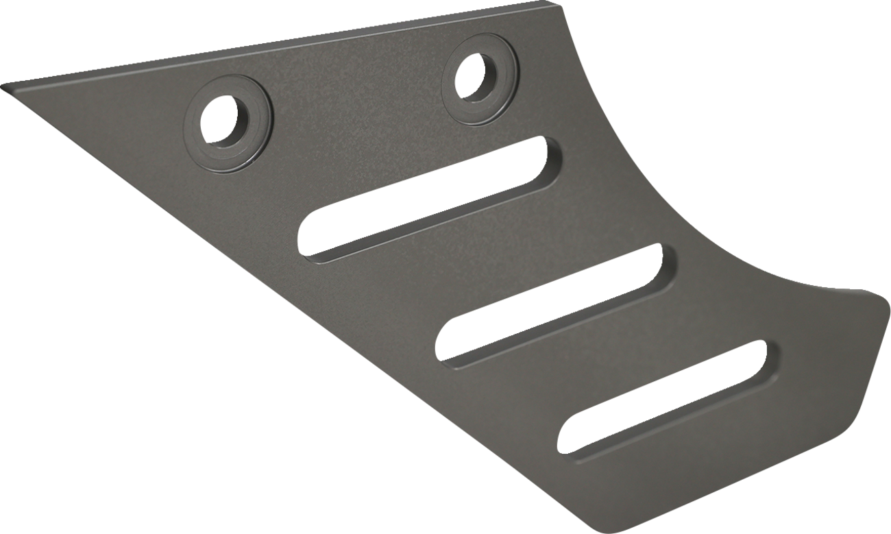 DYNOJET Chain Guard