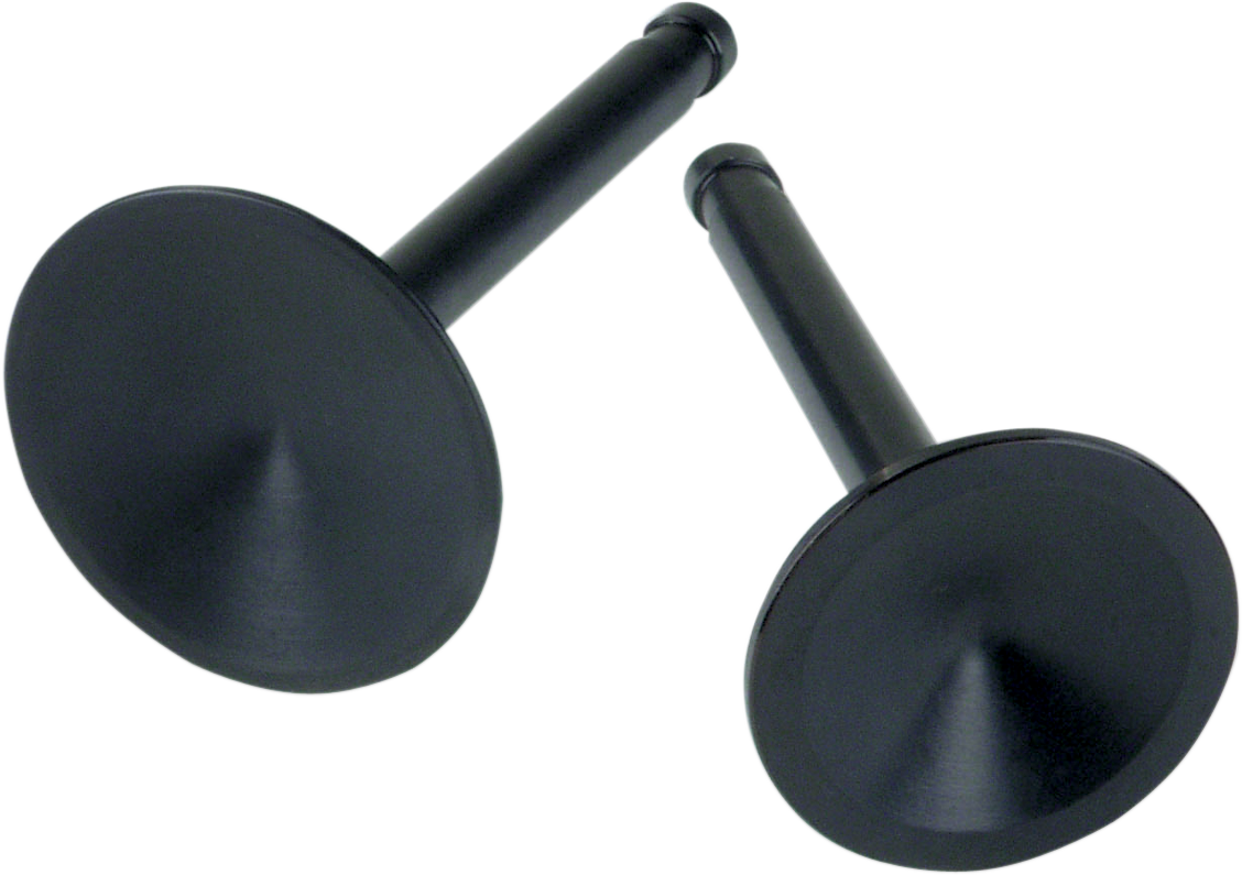 S&S CYCLE Replacement Valves