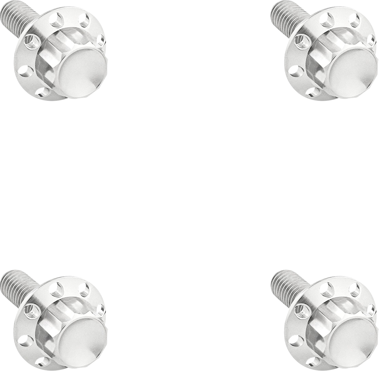 ARLEN NESS Bolt Kit - Windshield / Titanium / 12-Point / Polished 2401-1787