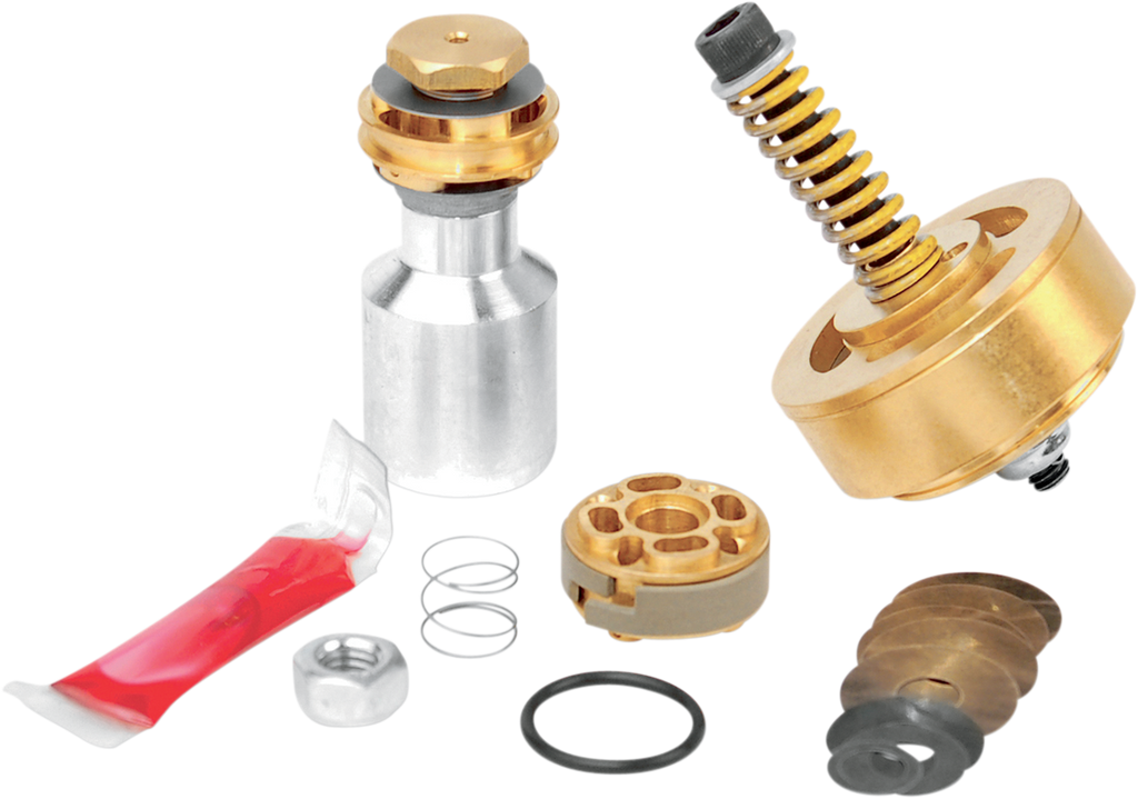 RACE TECH Gold Valve Fork Kit