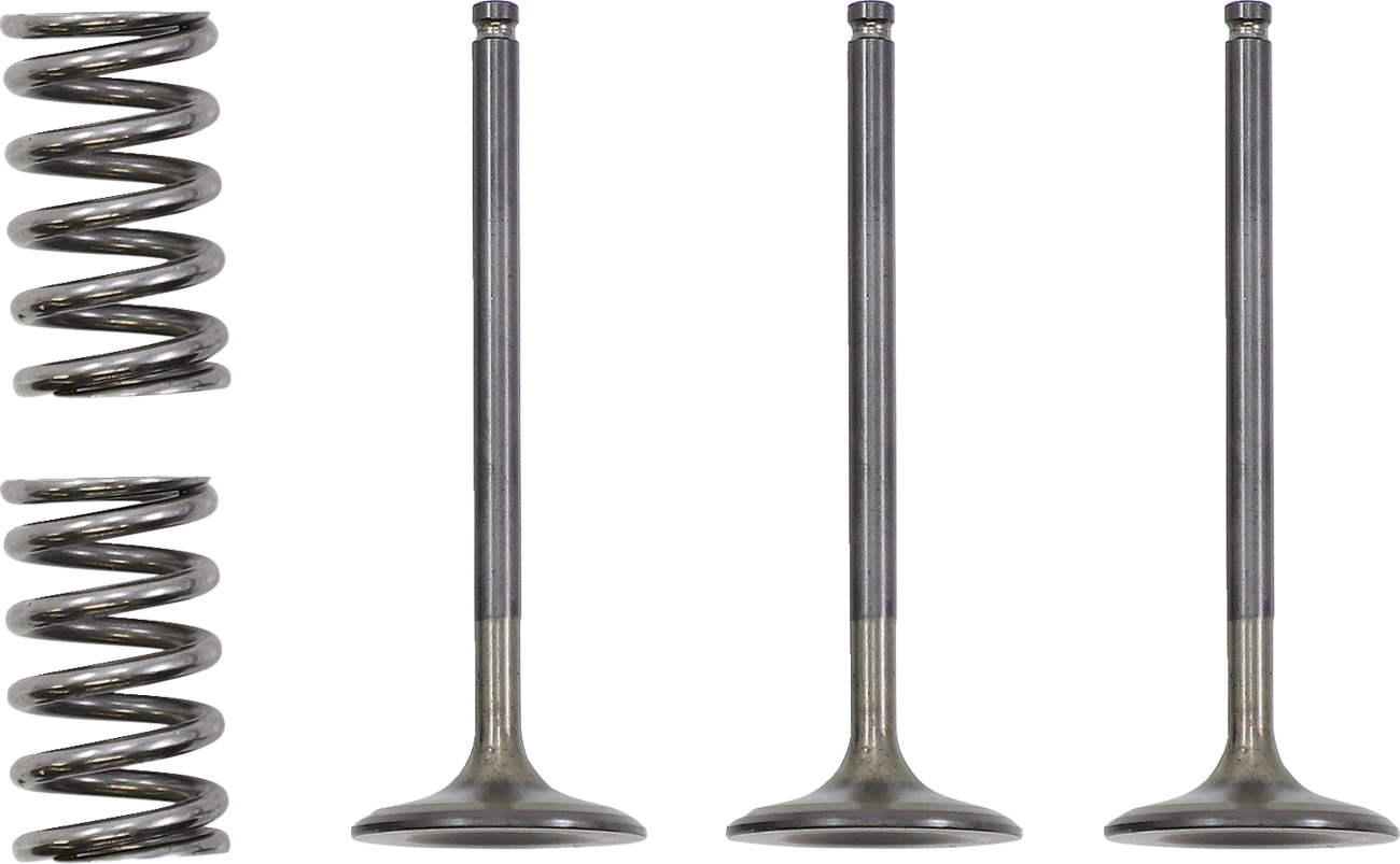 PROX Valve and Spring Kit