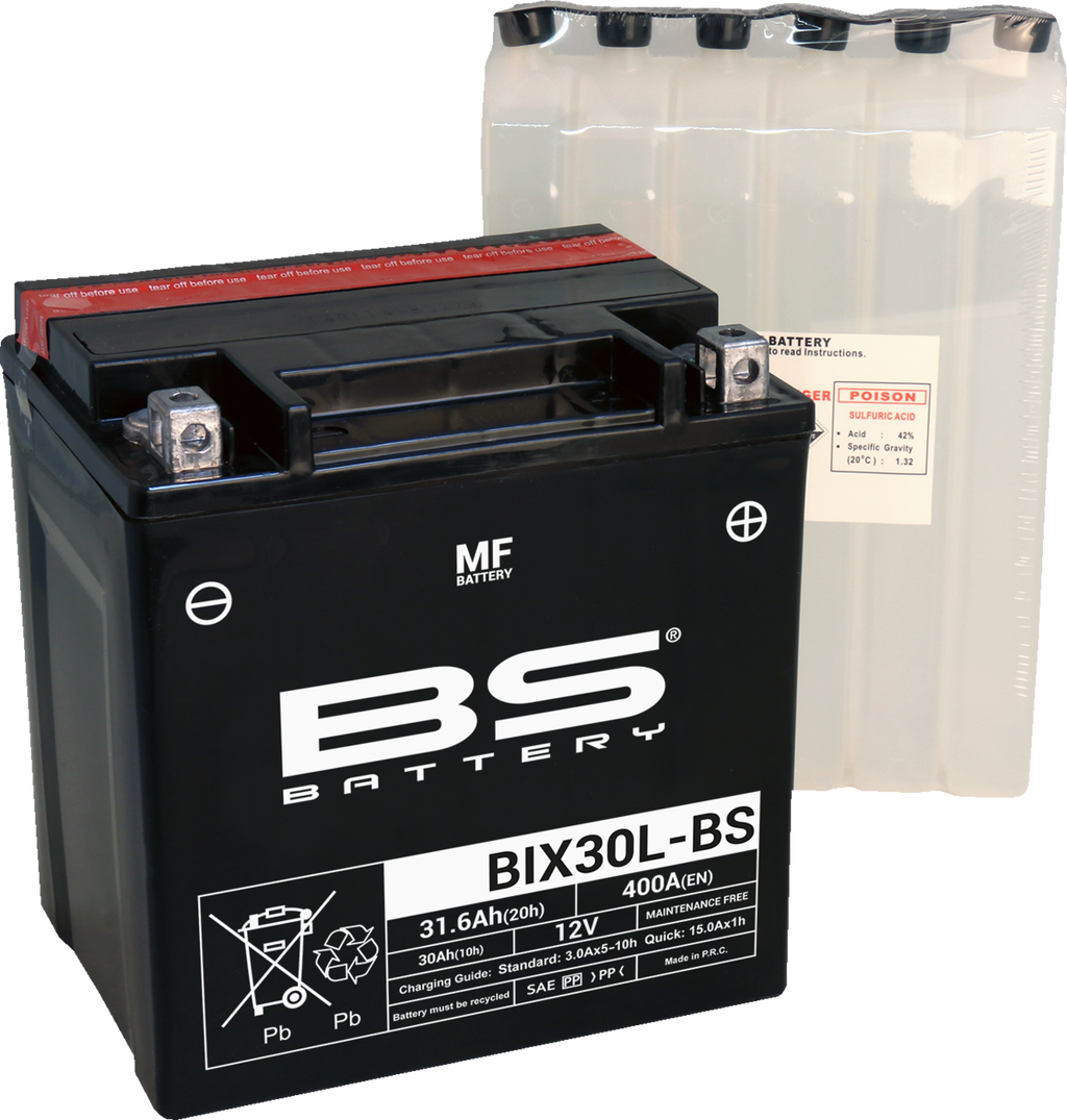 BS BATTERY Maintenance-Free Battery