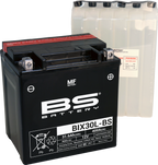 BS BATTERY Maintenance-Free Battery
