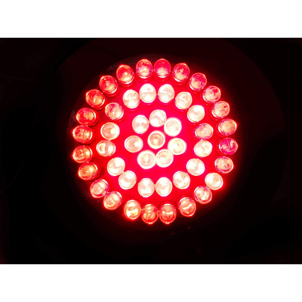 Eagle Lights 2” LED Turn Signal, Running and Brake Light Kit for Harley-Davidson® Motorcycles- Generation I / 1157 Front / 1157 Rear