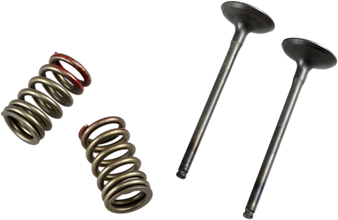 PROX Valve and Spring Kit