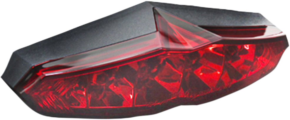 KOSO NORTH AMERICA Infinity Taillight