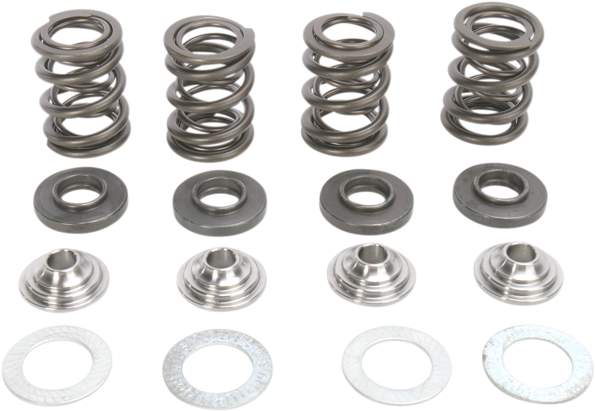 KIBBLEWHITE Valve Spring Kit
