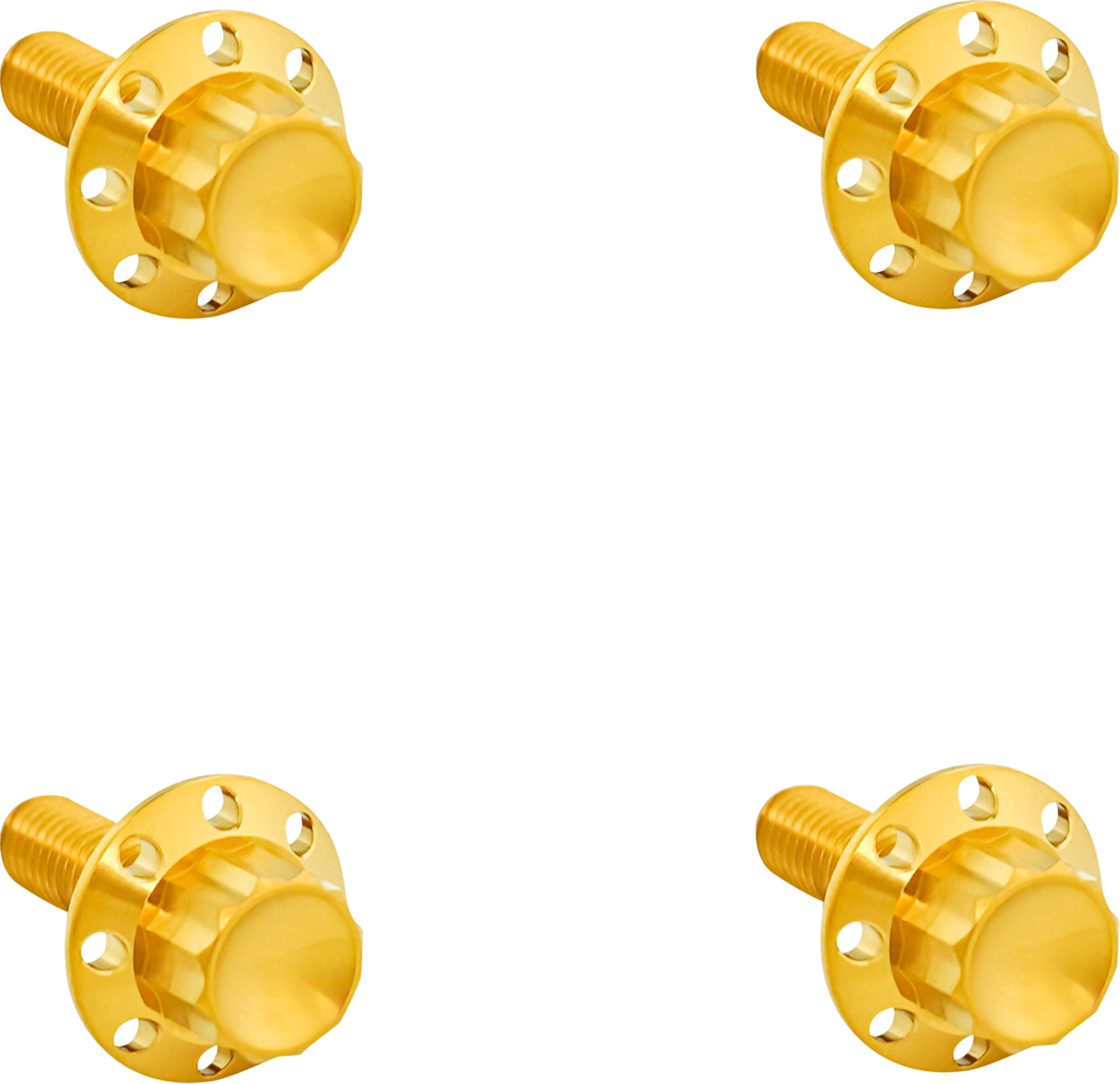 ARLEN NESS Bolt Kit - Windshield / Titanium / 12-Point / Gold 2401-1786
