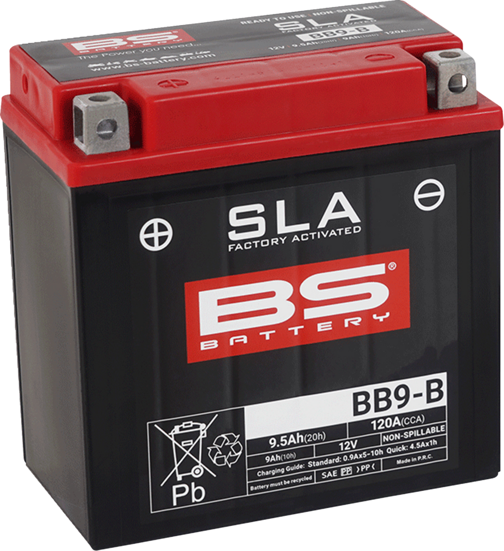 BS BATTERY SLA Factory- Activated AGM Maintenance-Free Battery