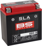 BS BATTERY SLA Factory- Activated AGM Maintenance-Free Battery