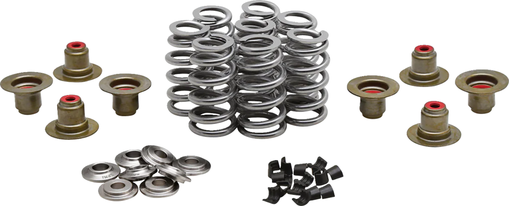KIBBLEWHITE Beehive Valve™ Spring Kit