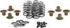KIBBLEWHITE Beehive Valve™ Spring Kit