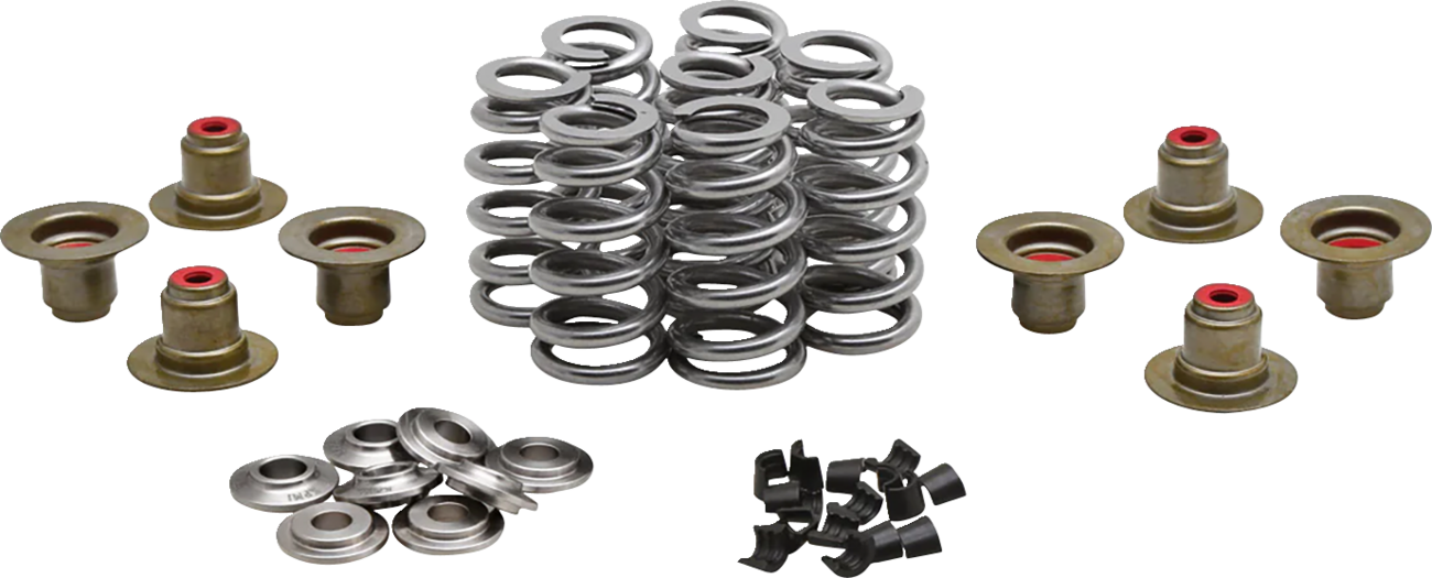 KIBBLEWHITE Beehive Valve™ Spring Kit