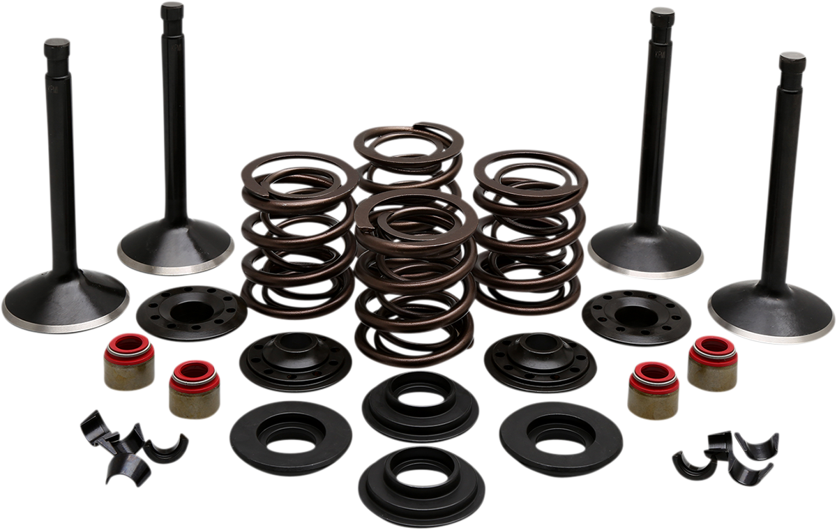 KIBBLEWHITE Engine Valve Kit