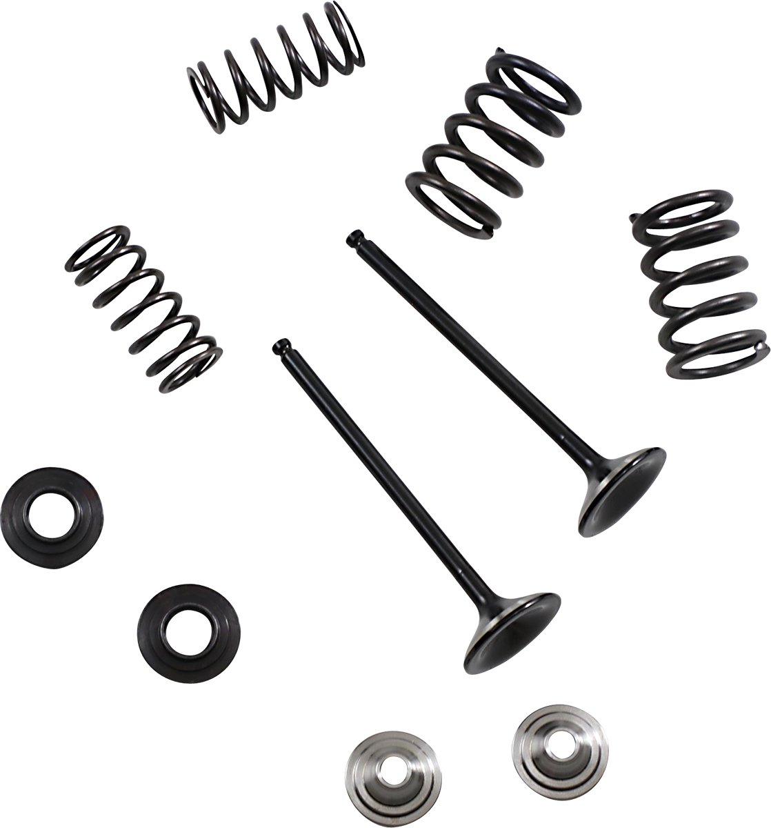 MOOSE OFFROAD Exhaust Valve and Spring Kit