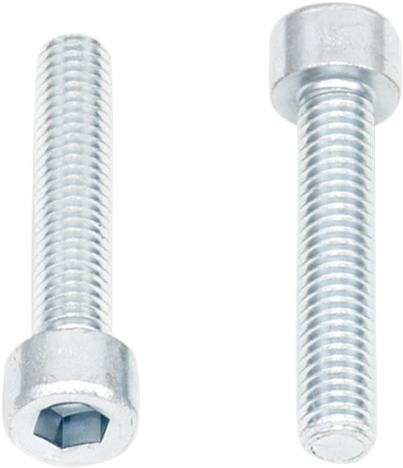BOLT Allen Bolts - Socket-Head / M6 x 30 / 10-Pack 2404-0396