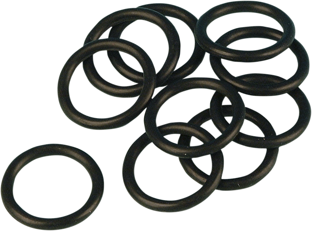 JAMES GASKET Rocker Arm Support O-Ring - Twin Cam DS-173202