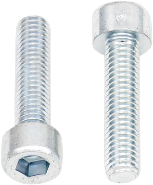 BOLT Allen Bolts - Socket-Head / M6 x 25 / 10-Pack 2404-0395