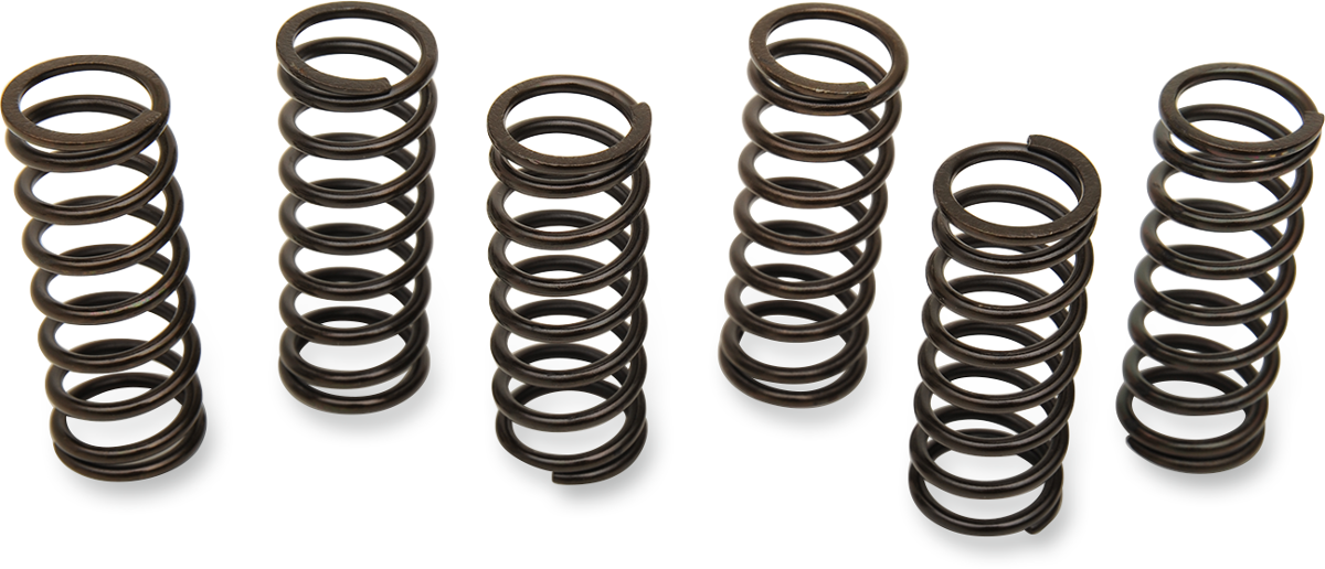 BARNETT Clutch Spring Set - Kawasaki/Polaris/Suzuki MT-24-6