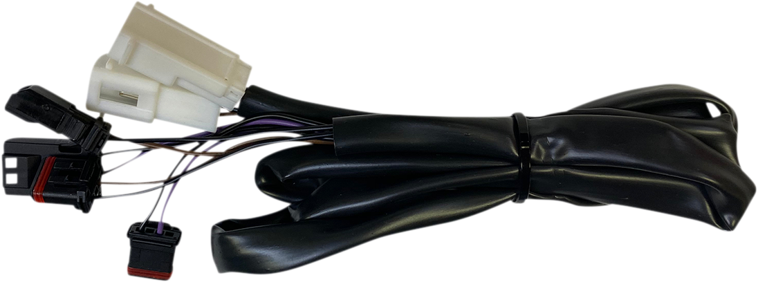 CUSTOM DYNAMICS Taillight Harness