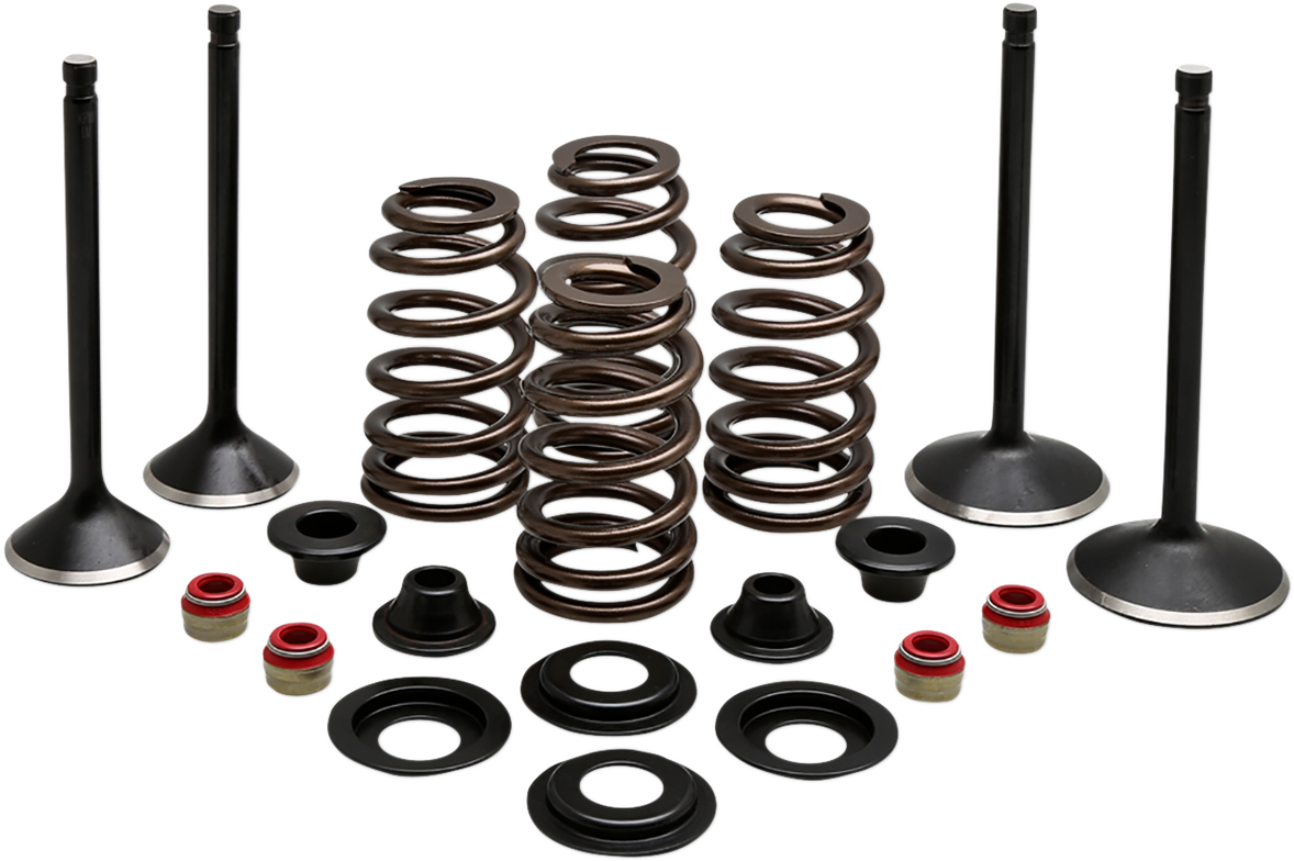 KIBBLEWHITE Engine Valve Kit