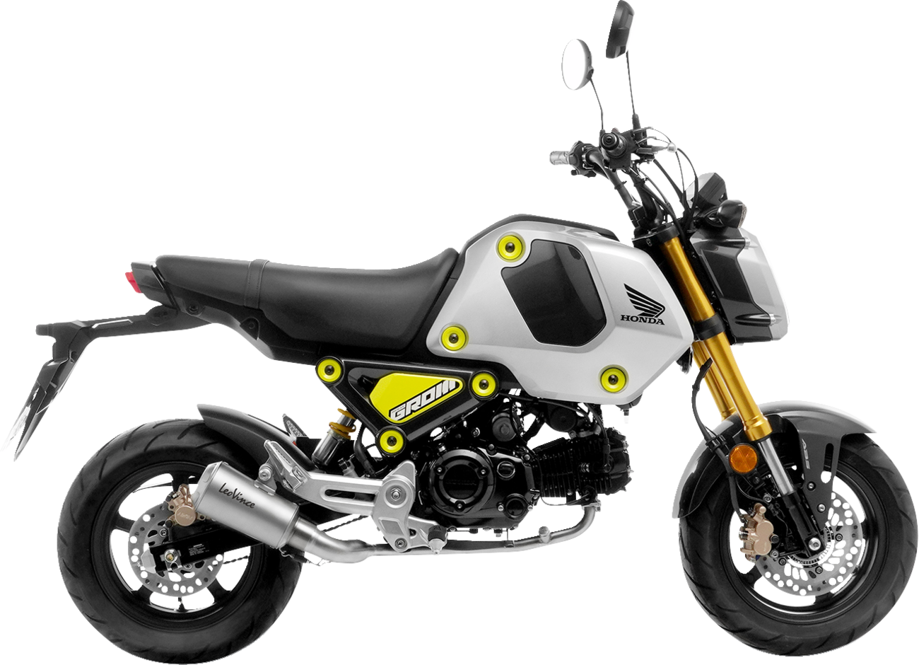 LEOVINCE LV-10 Exhaust System