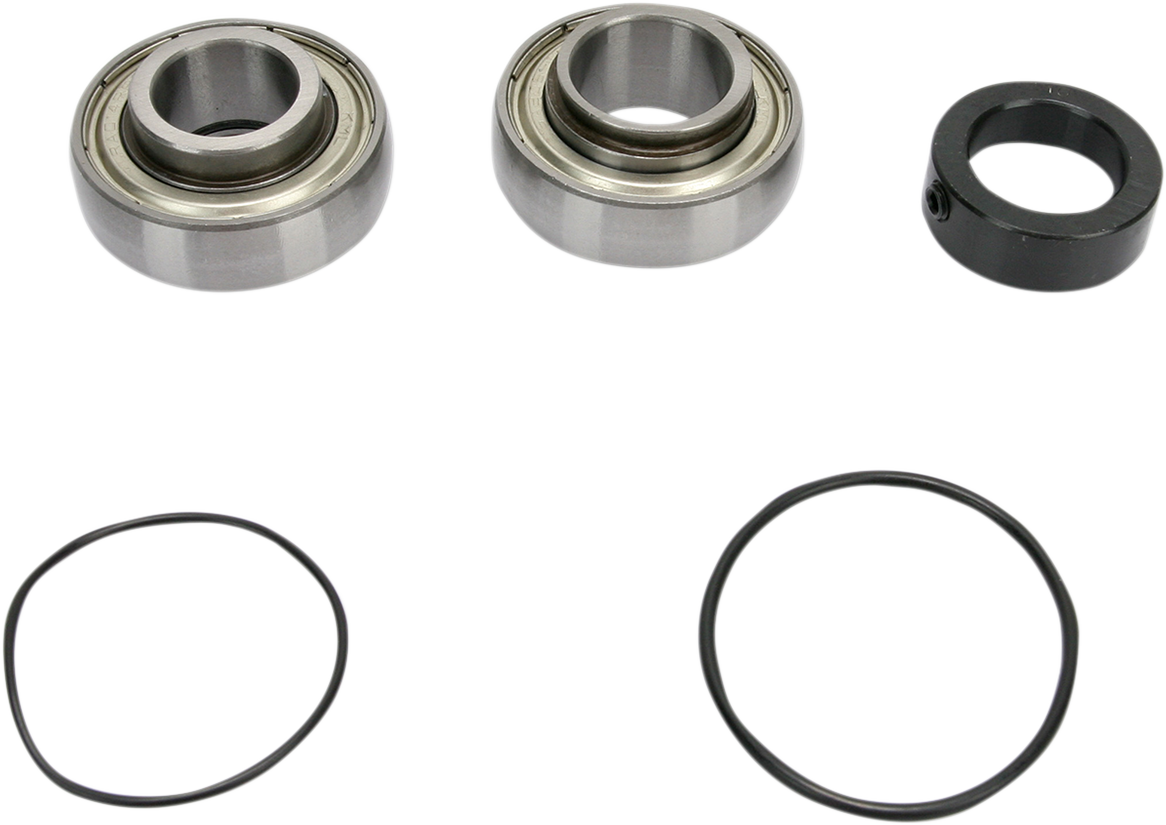 ALL BALLS Chain Case Bearing and Seal Kit - 1231-0323