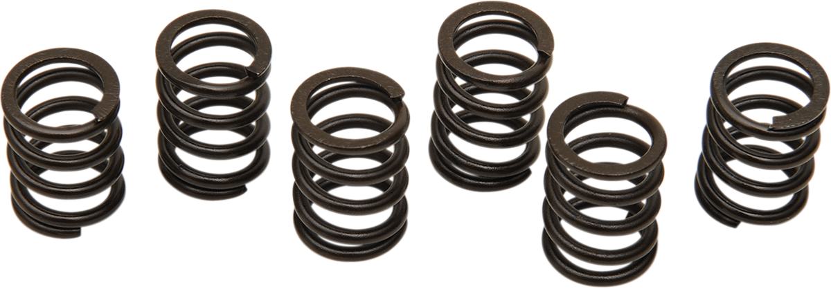 BARNETT Clutch Spring Set - TL1000R/S MT-12-6