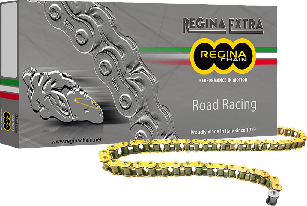 REGINA 520 GPZ Series Chain