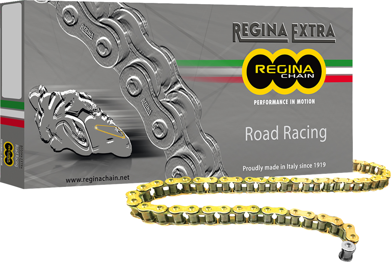 REGINA 520 GPZ Series Chain