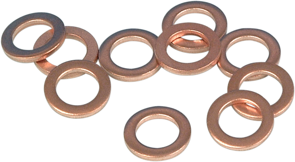 JAMES GASKET Replacement Washers - Damper Tube Bolt Washer / 10-Pack DS-193634