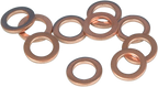 JAMES GASKET Replacement Washers - Damper Tube Bolt Washer / 10-Pack DS-193634