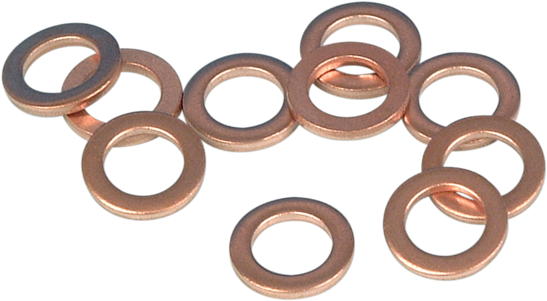 JAMES GASKET Replacement Washers - Damper Tube Bolt Washer / 10-Pack DS-193634
