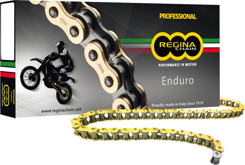 REGINA 428 SZE Drive Chain