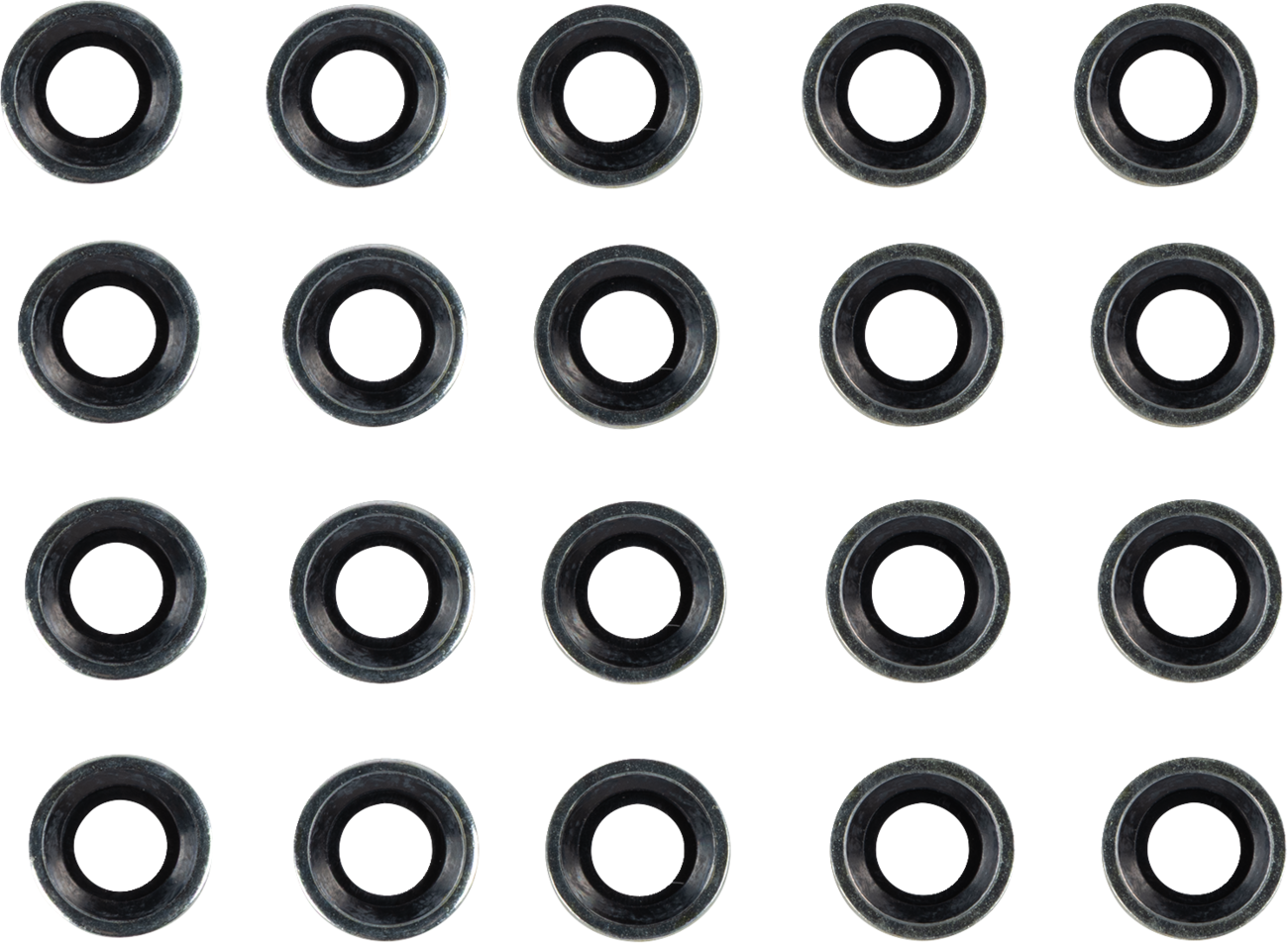 JAMES GASKET Rocker Cover Washer