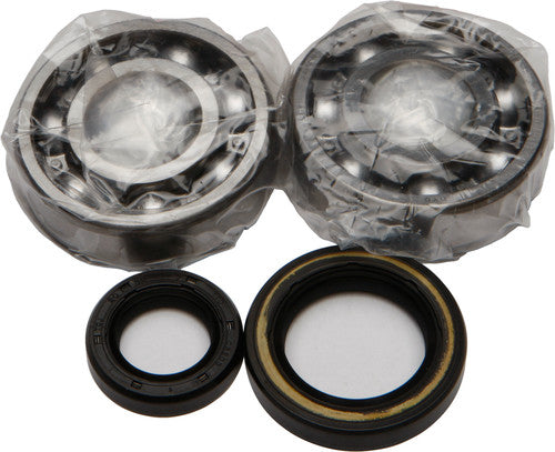 ALL BALLS Crankshaft Bearing & Seal Kit - 24-1003