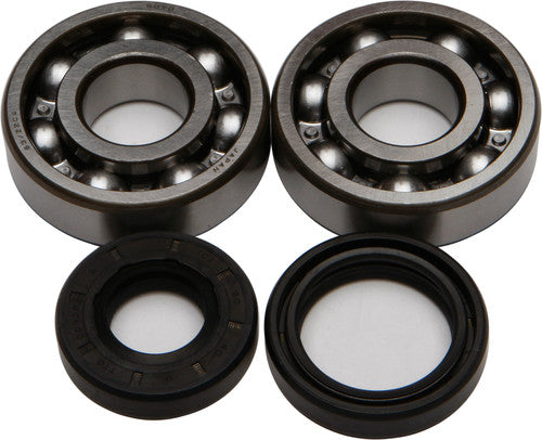 ALL BALLS Crankshaft Bearing & Seal Kit - 24-1008